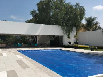 Casa en renta Avenida Guadalupe, Tepetates, El Llano, Jesús María, Aguascalientes, 20984, Mex