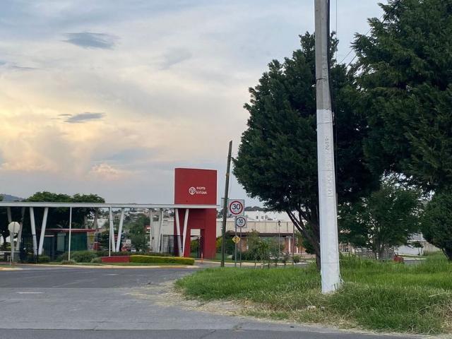 Casa en renta Avenida Los Robles, Bosques De San Gonzalo, Nuevo México, Zapopan, Región Centro, Jalisco, 45134, México