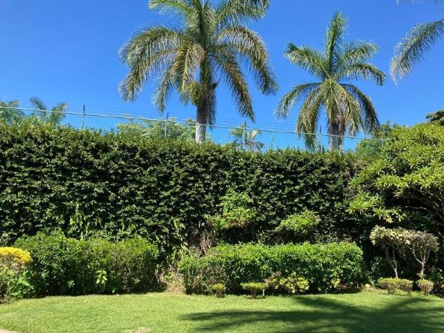 Casa en renta Avenida Palmira, Palmira, Cuernavaca, Morelos, México