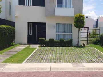 Alvaro Obregon METEPEC, Metepec México, Mexico