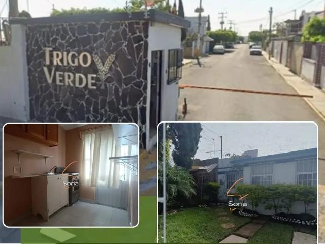 CASA EN RENTA CUAUTLA MORELOS FRACCIONAMIENTO TRIGO VERDE
