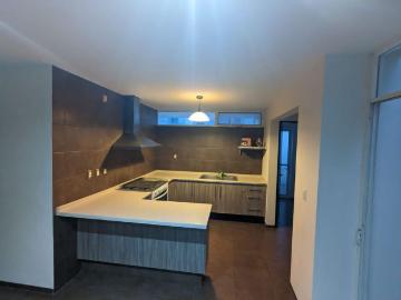 Casa en renta Calle Ventura, Puerta Grande, Jesús María, Aguascalientes, 20925, Mex