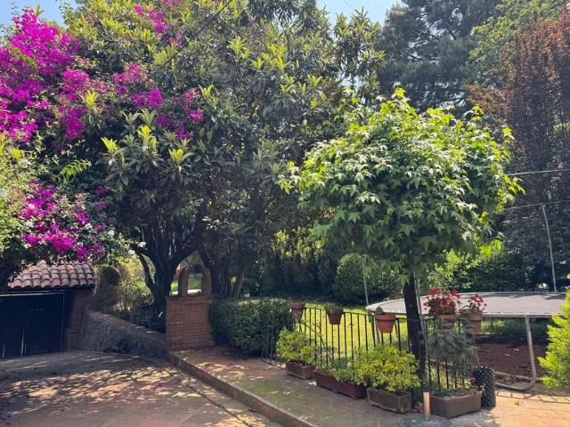 Casa en renta Cda. De Villa Elvira 24, Barrio San Francisco, Ciudad De México, Cdmx, México