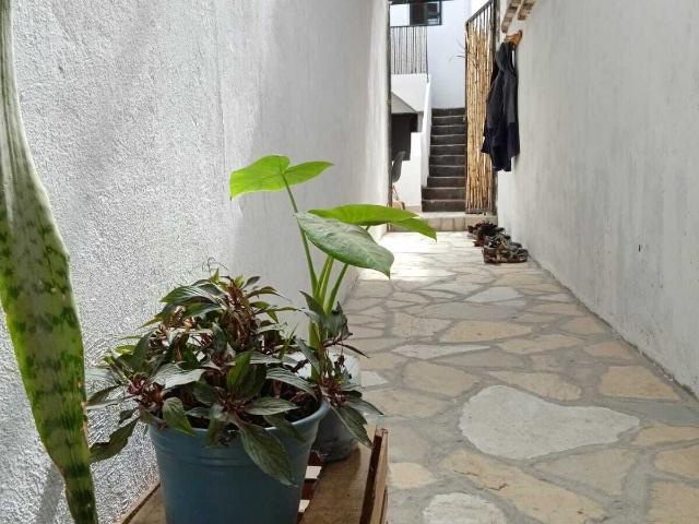 Casa en Renta Colonia Centro
