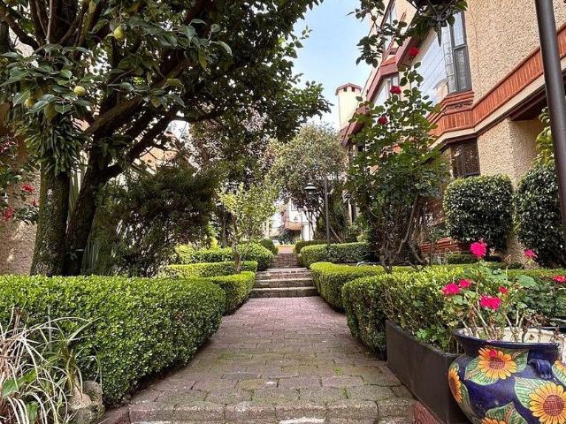 Casa en renta Colonia San Jerónimo Lídice, Ciudad De México, La Magdalena Contreras, Ciudad De México, 10200, México