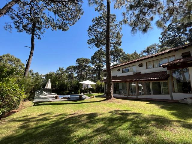 CASA EN RENTA COMPARTIDA