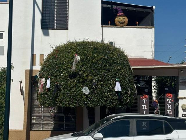 Casa en renta El Dorado, Boulevard Aeropuerto Sm Blvd, Colonia El Dorado, Fracciones De El Alto, León, Gto México