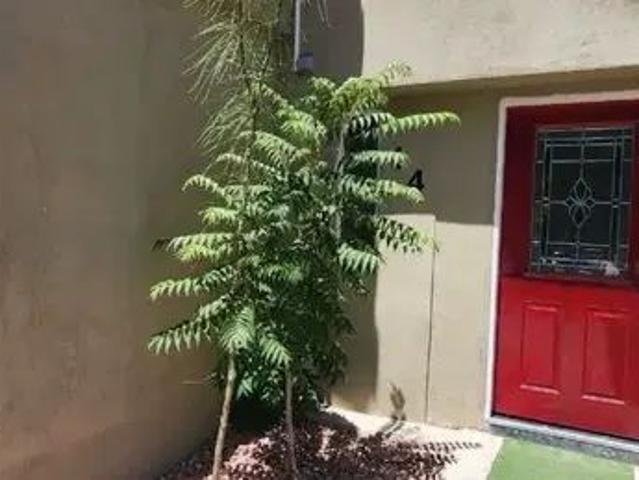 Casa en Renta en Misión del Sol