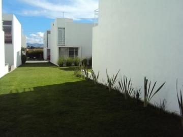 Casa en Renta en ANGELOPOLIS Puebla