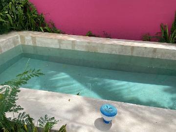 Chicxulub Pueblo, Yucatan