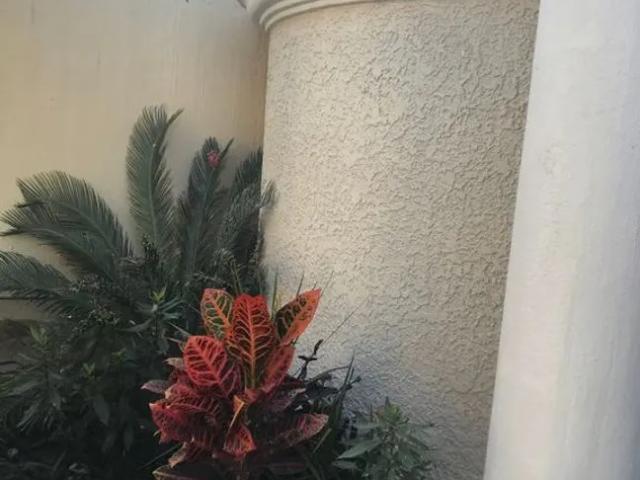 Casa en Renta en Francisco Villa, Zapopan, Jalisco
