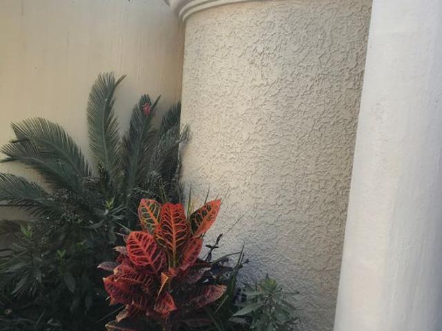 Casa en renta en Francisco Villa, Zapopan