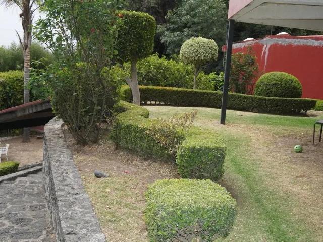 Casa en Renta en Jardines del Pedregal de San Angel, Coyoac?n, Ciudad de M?xico