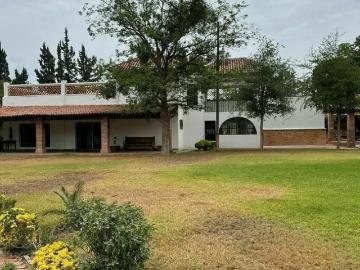 Arteaga Coahuila, Nuevo Leon - Jardín, Terraza
