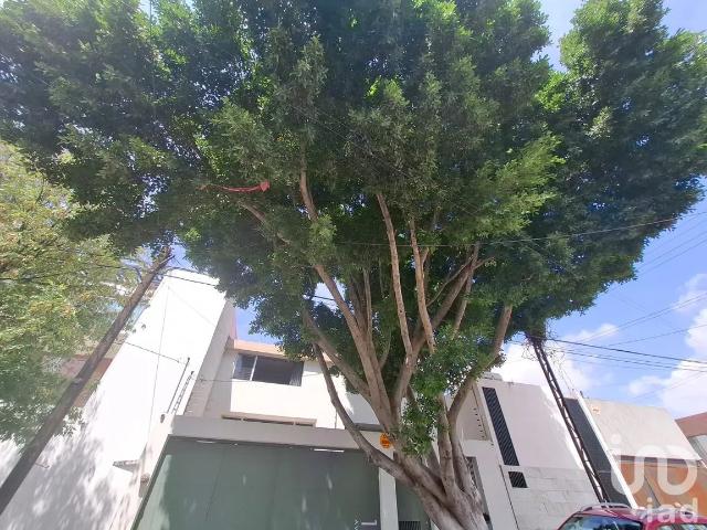 Casa en Renta en Lomas 1a Secc, San Luis Potosí, San Luis Potosí