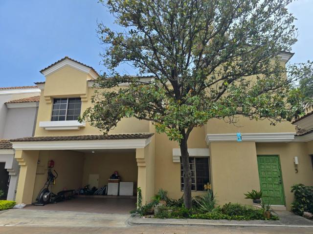 Casa en renta en Palo Blanco Residencial en San Pedro Garza Garc?aCasa