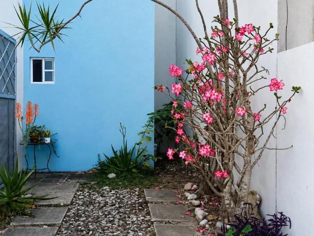 CASA EN RENTA FRACC. PUNTA LAGUNA C.TARUYA