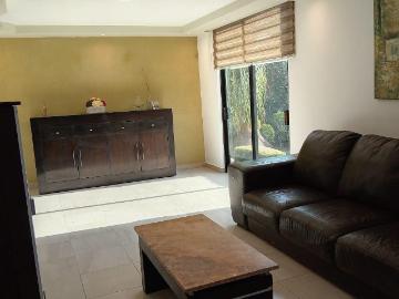 Casa en RENTA Fraccionamiento Cortijo de San Andr?s