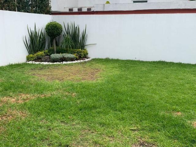 Casa en renta Fraccionamiento Lomas De Angelópolis, San Andrés Cholula
