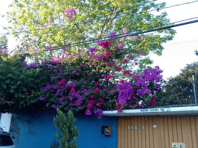 Casa en renta Genaro Vásquez, Barrio De Xochimilco, Oaxaca De Juárez, Oaxaca, México