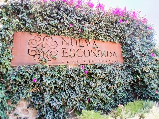 CASA EN RENTA LA NUEVA ESCONDIDA