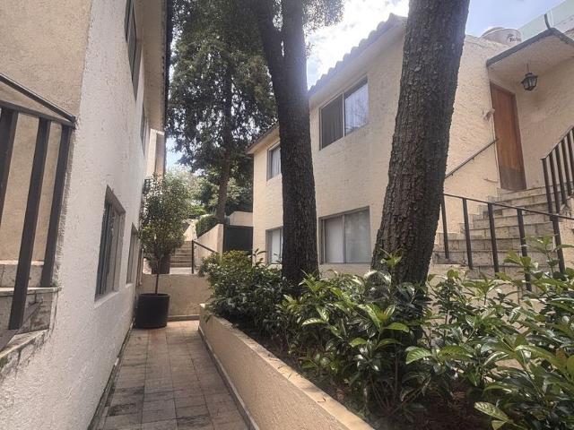 Casa en renta Lomas De Bezares, Ciudad De México, Miguel Hidalgo, Ciudad De México, 11910, México