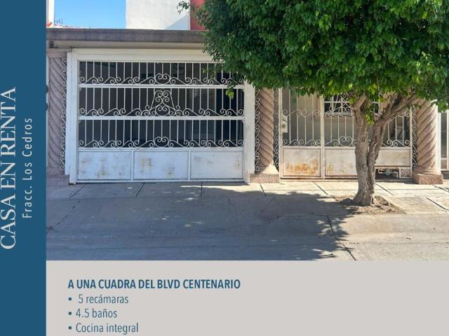 CASA EN RENTA LOS CEDROS