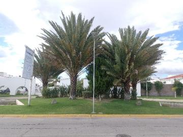 Casa en renta Rancho San Miguel, Jesús María, Aguascalientes