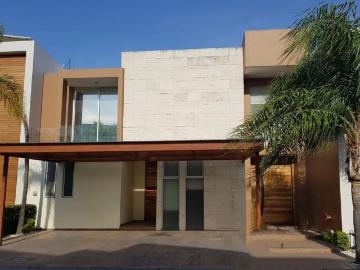 Puesta Sol ZAPOPAN, Pinos ZAPOPAN, Guadalajara Jalisco, Jalisco