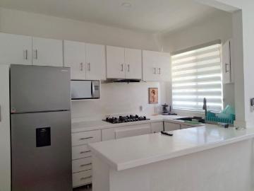 Casa en renta Selva Escondida Ll Puerto Morelos, Avenida Arrecifes, Puerto Morelos, Quintana Roo, México