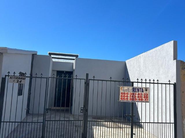 CASA, EN RENTA, UNA PLANTA, OTAY UNIVERSIDAD