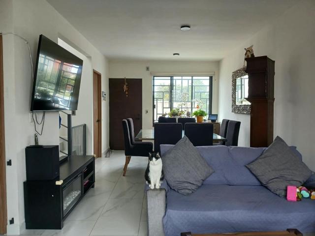 Casa en RENTA VILLAS DEL CAMPO Bosques de Naranjo