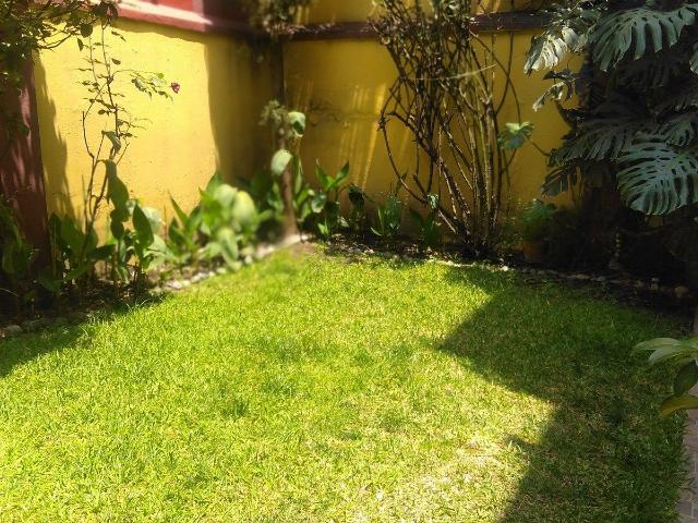 Casa en Renta 4 Recámaras | Del Valle| Espacios Amplios