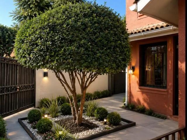 Casa en San Bernardo
