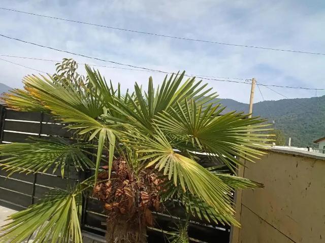 Casa en San Fernando