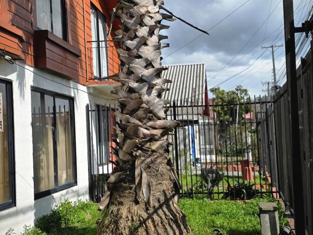 Casa en Talcahuano