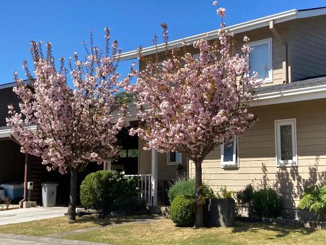 Casa en Valdivia