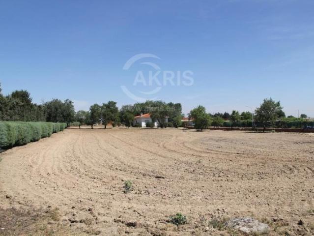 Casa en venta Alcorcón