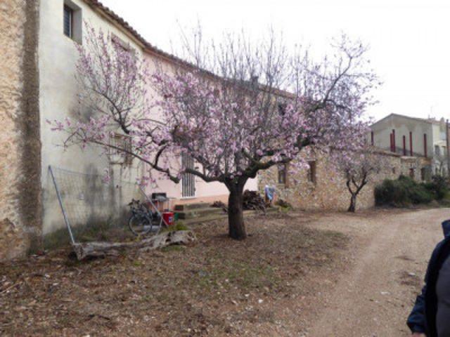 Casa en venta Alfara de Carles