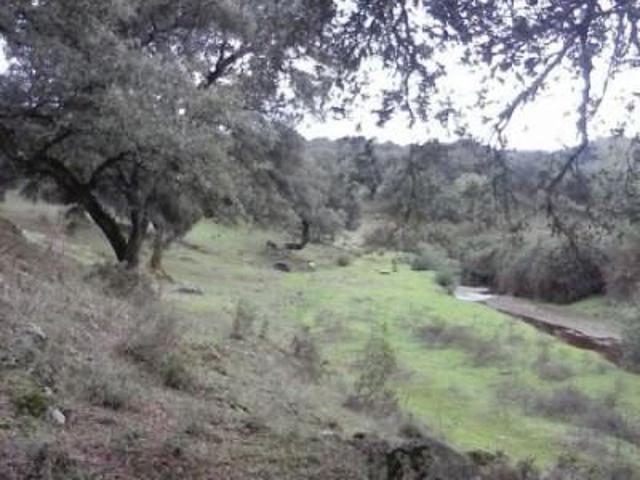 Casa en venta Aracena