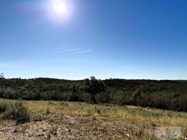 Casa en venta Berrocal