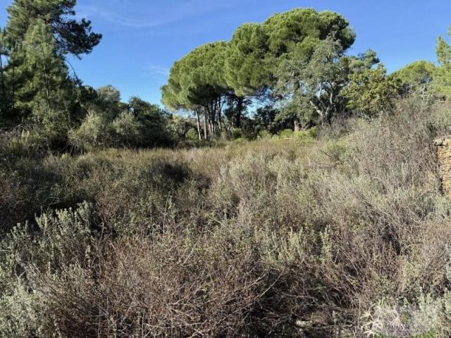 Casa en venta Berrocal
