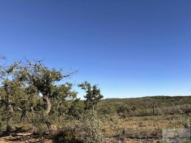 Casa en venta Berrocal