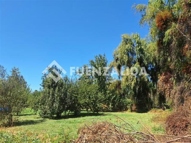 Casa en venta de 3 dorm. Carampangue Colegio Trebulco | 3 dormitorios por 6045.00 en Isla de Maipo