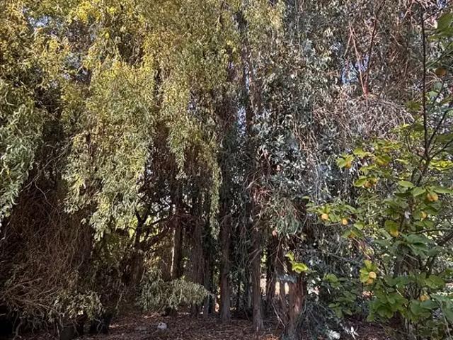 Casa en venta de 3 dorm. En Talca | 3 dormitorios por 8500.00 en Talca