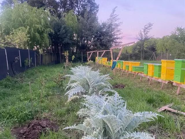 Casa en venta de 3 dorm. En Yerbas Buenas sector Coironal. 3 dormitorios por 85000. 00 en Yerbas Buenas