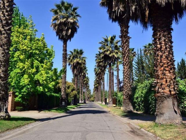 Casa en venta de 4 dorm. terreno 5.000 mt2 en colina