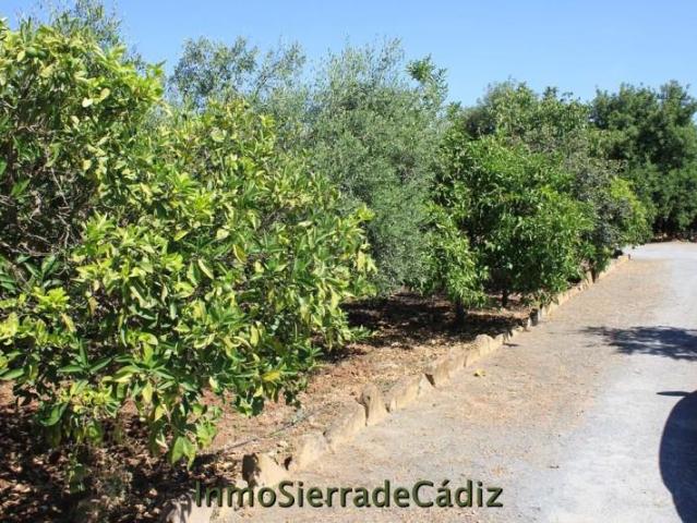 Casa en venta El Coronil