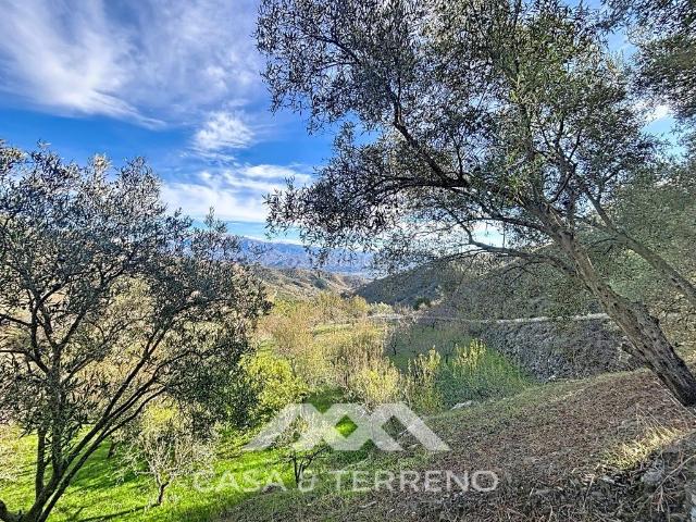 Casa en venta en Macharaviaya. Encantadora Finca en Macharaviaya. Casas.