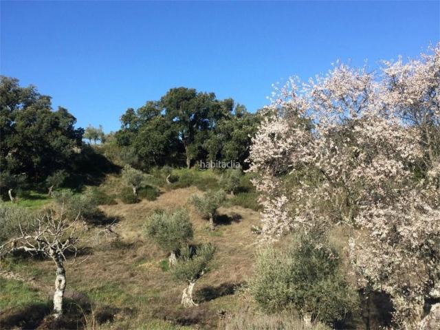 Casa en venta en Madroñera. Madroñera calle lazareto. Casas.